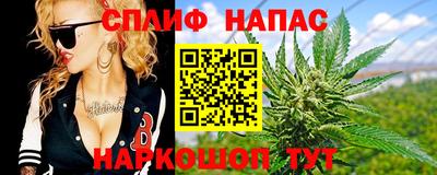 прущие грибы Донской
