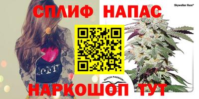 прущие грибы Донской