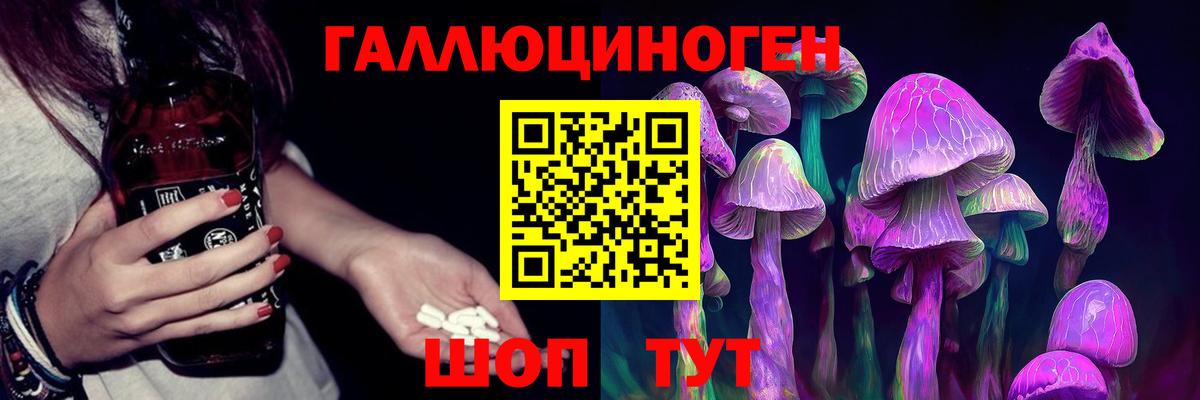 Кувандык  Галлюциногенные грибы Psilocybine cubensis  Вход с VPN 